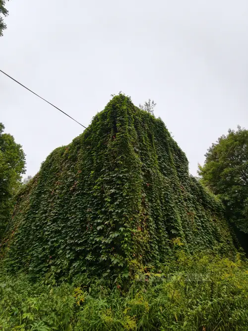 Związek żeglarski - photo 3/57