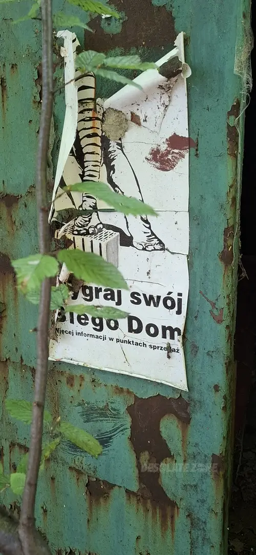 Domek letniskowy - zdjęcie 8/9