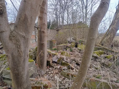 Ruiny gospodarstwa - zdjęcie 3/6