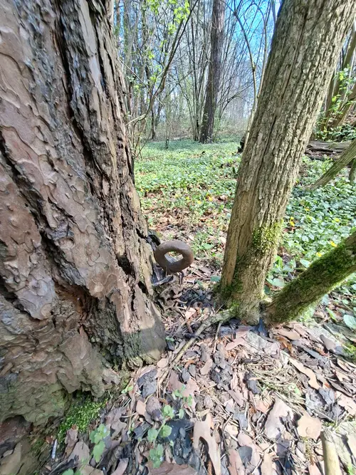 Opuszczony camping Kunice