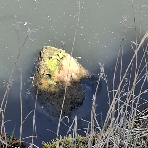 Opusczona fabryka tkanin Silwana, Gorzów wlkp. - photo 3/48