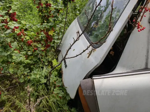 Porzucony Trabant