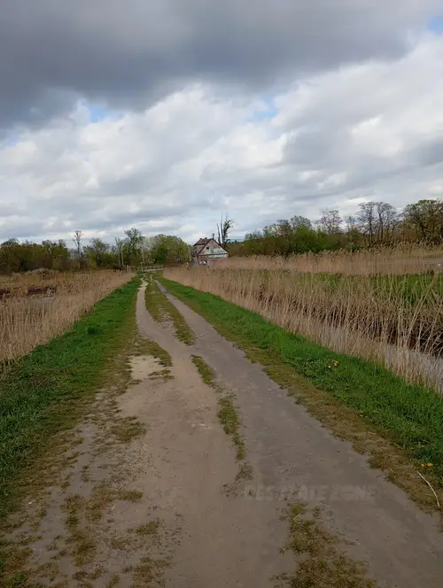 Zarośnięty dom - photo 1/1
