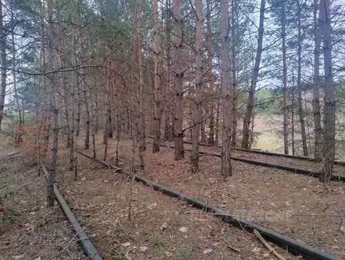 Bocznica kolejowa do dawnej bazy CPN - photo 2/5