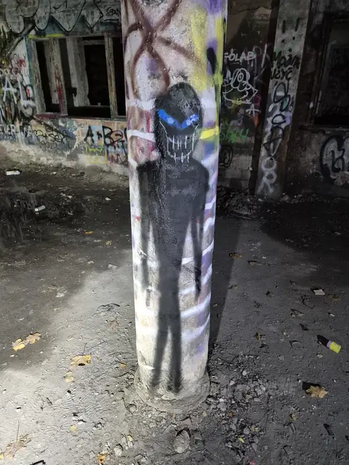 Zakład dla Nerwowo i Psychicznie Chorych Żydów - Zofiówka - zdjęcie 3/425