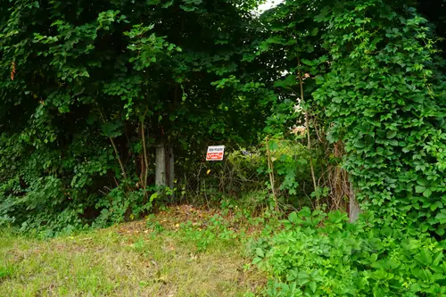 STARA SZKOŁA - BUDZIWÓJ - photo 3/9