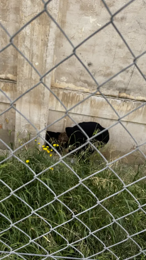 Fabryka mąki Harinas Cloquell