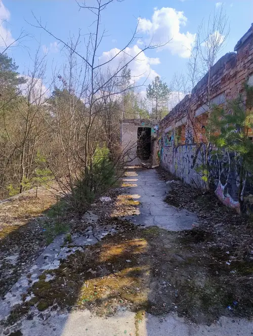 Zakład dla Nerwowo i Psychicznie Chorych Żydów - Zofiówka - photo 9/277