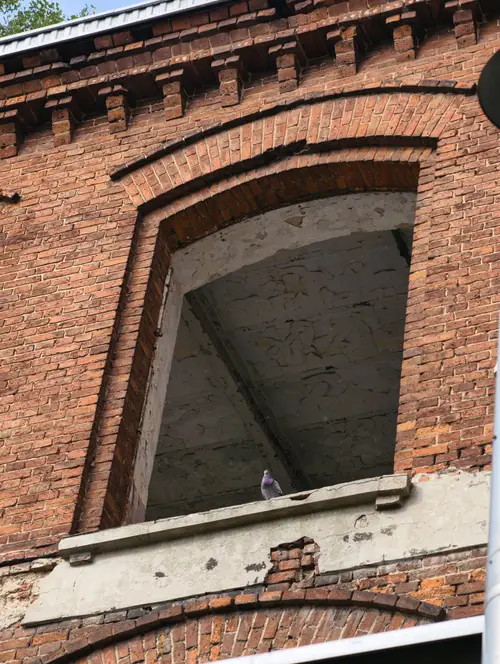 Pamotex, Pabianice - zdjęcie 15/131