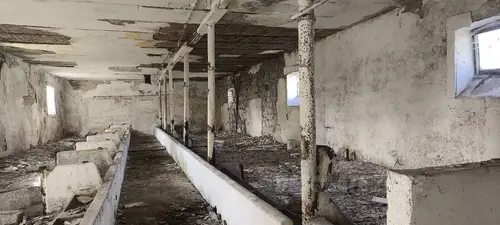 Gospodarstwo Rolne, Małusy Wielkie - photo 7/47