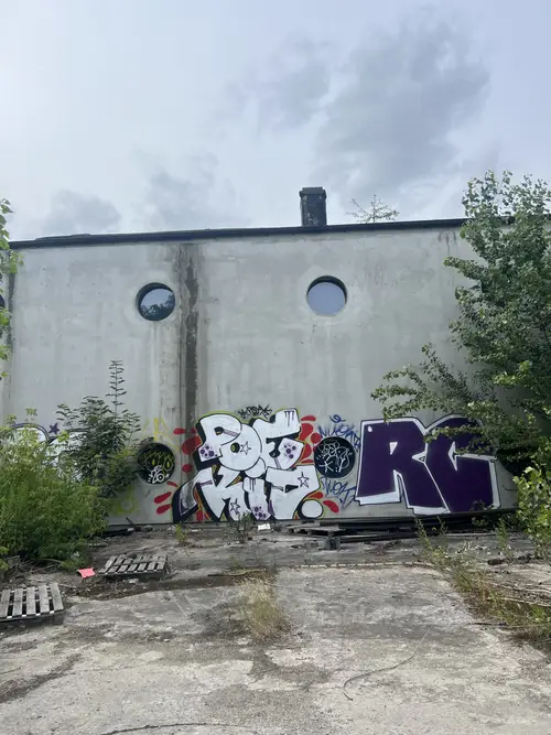 Fabryka i hale szedowe - zdjęcie 16/84