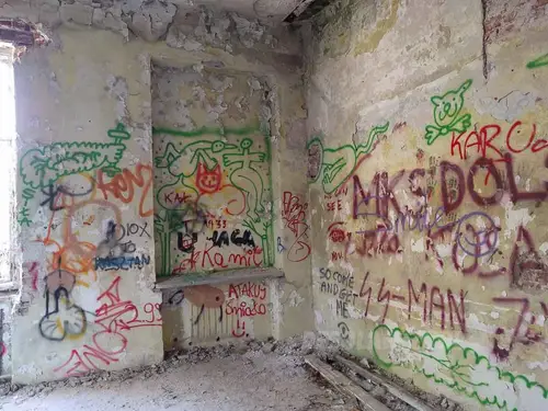 Zakład dla Nerwowo i Psychicznie Chorych Żydów - Zofiówka - photo 14/383