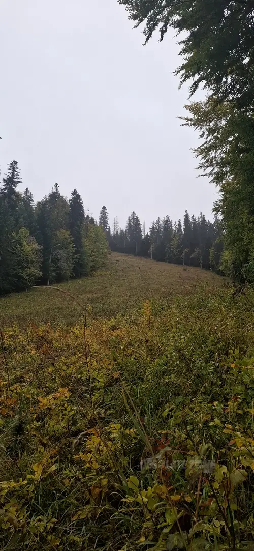 Ruiny górnej stacji wyciągu narciarskiego