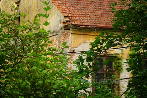 STARA SZKOŁA - BUDZIWÓJ - photo 2/9
