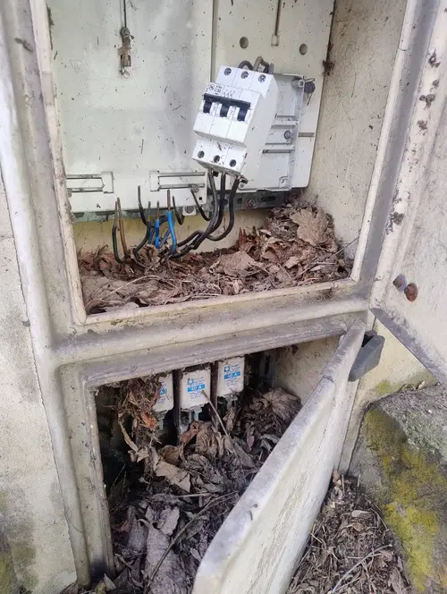 Opuszczony budynek - zdjęcie 6/6