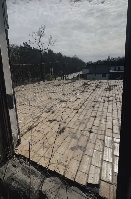 Opuszczony dom - zdjęcie 6/11