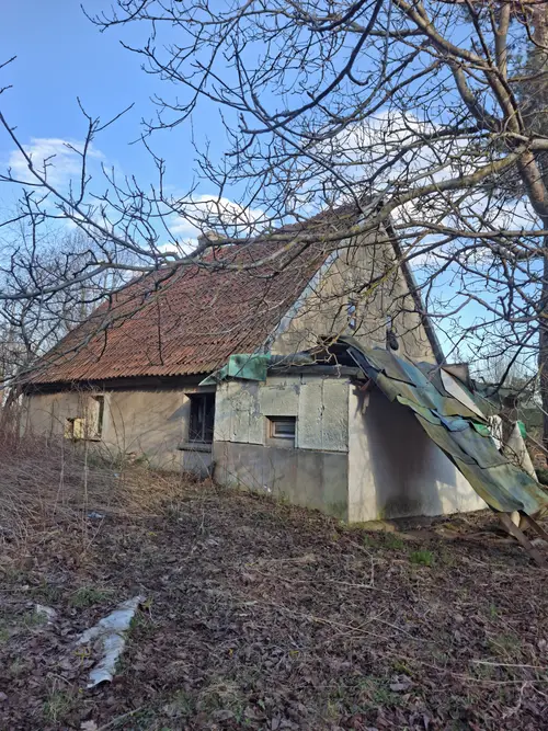 Opuszczone gospodarstwo - zdjęcie 4/15