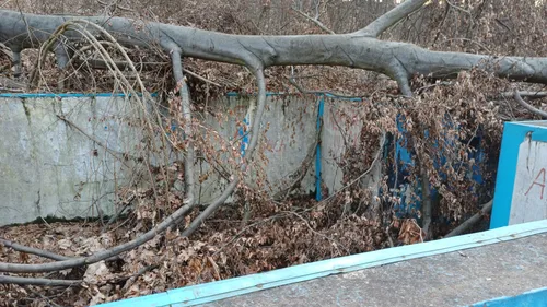 Opuszczone kąpielisko, Zabrze