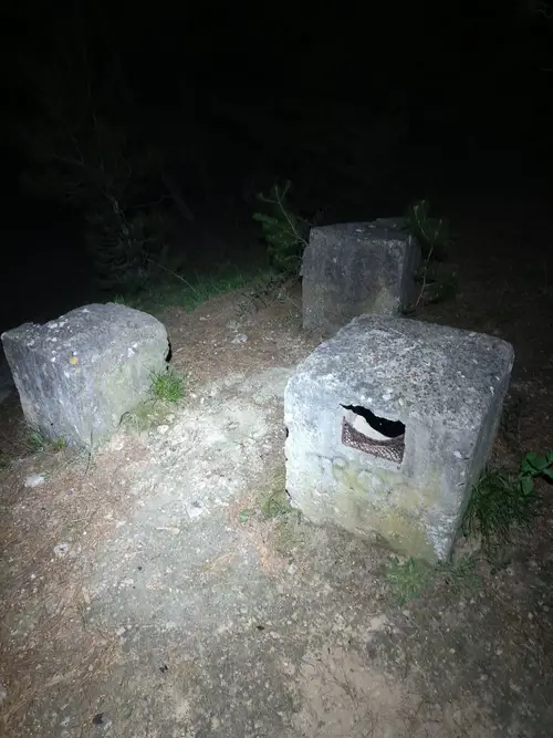 Bunkier C-30 na wzgórzu Cubrijan - zdjęcie 10/12