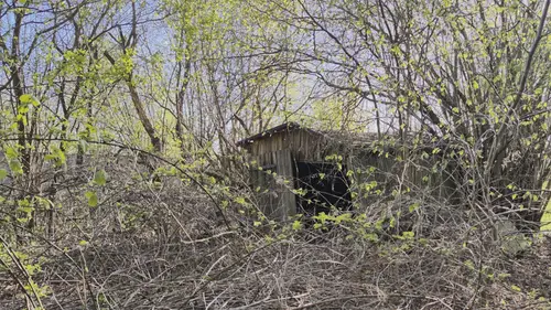 Dom i stodoła - zdjęcie 13/16