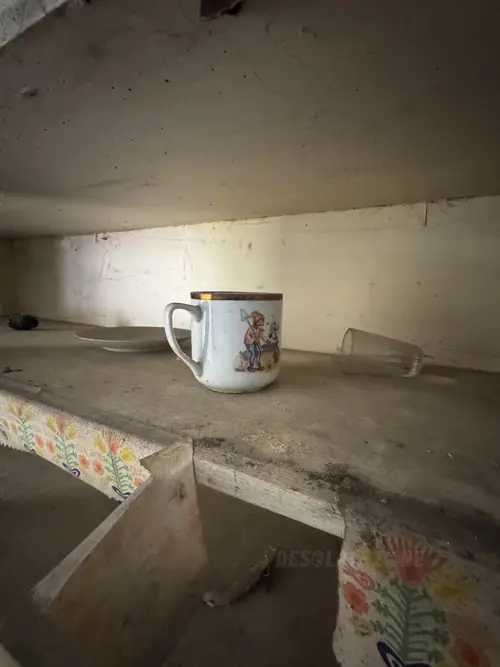 Opuszczone gospodarstwo - zdjęcie 4/27