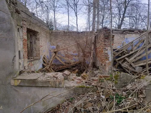 Ruiny gospodarstwa - zdjęcie 1/6