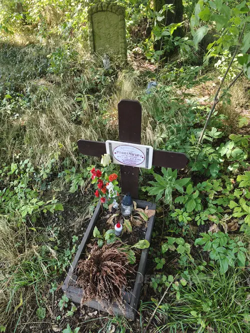 Ruiny kościoła i cmentarz, Marcinków - photo 19/25