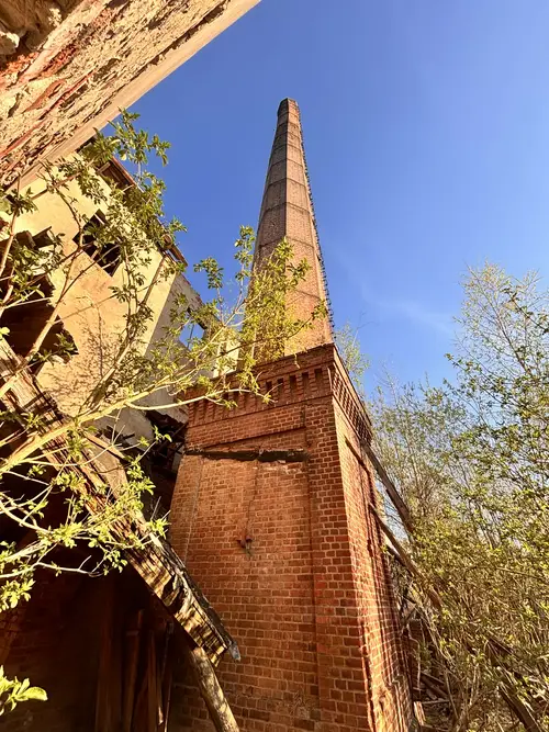 Cegielnia ,,Gotyka'', Czaple Wolne - zdjęcie 3/4