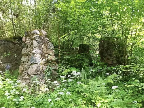Opuszczona leśniczówka