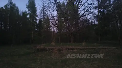Opuszczona Wieś w Kampinoskim PN - zdjęcie 2/8