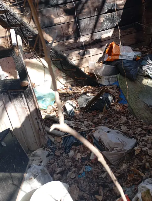 Ruiny domku - zdjęcie 2/4