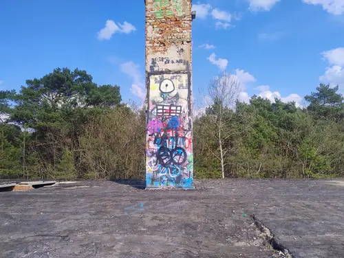 Zakład dla Nerwowo i Psychicznie Chorych Żydów - Zofiówka - photo 5/277