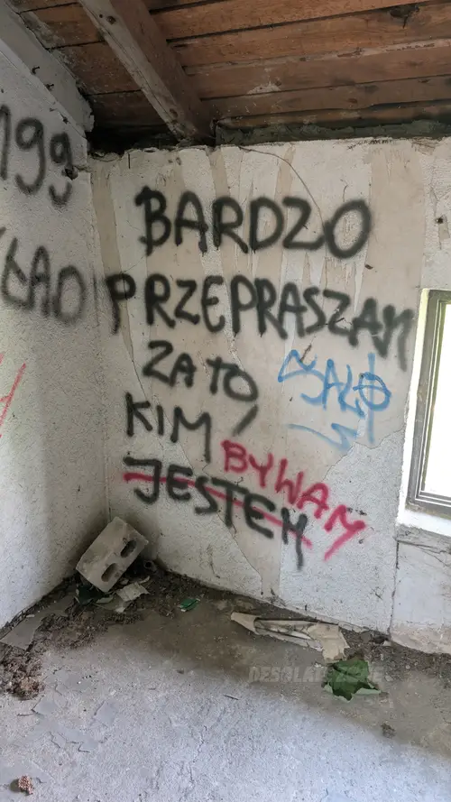 Opuszczony dom - zdjęcie 3/29