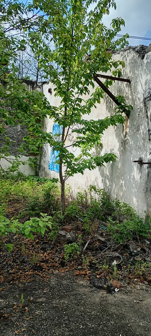 Opuszczony budynek zaplecza towarowego - zdjęcie 3/5