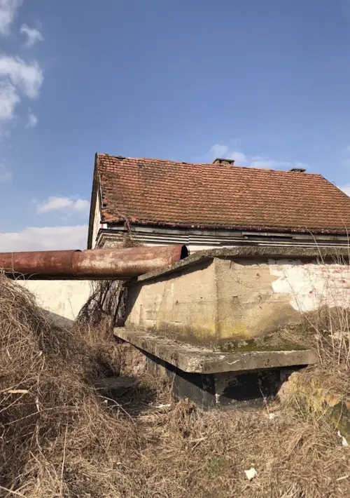 Zarośnięty dom - zdjęcie 6/7