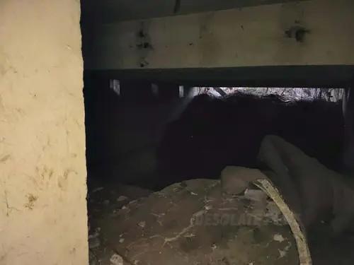 Opusczony budynek - zdjęcie 5/6