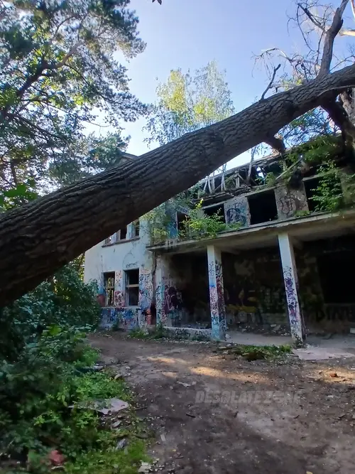 Zakład dla Nerwowo i Psychicznie Chorych Żydów - Zofiówka - photo 26/360