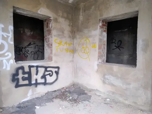 Opuszczona willa na Rokiciu - zdjęcie 4/22