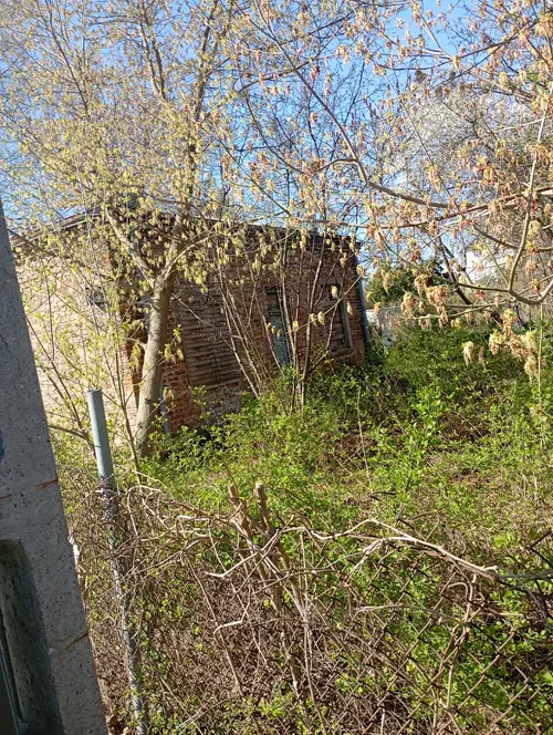 Ceglany dom zabity dechami - photo 1/2