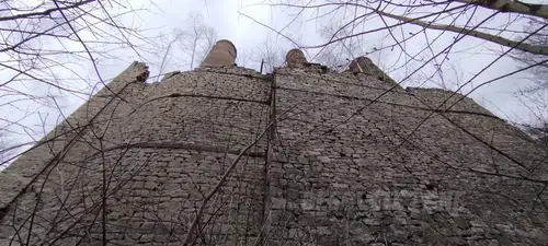 Wapiennik Bordowicza - zdjęcie 4/9