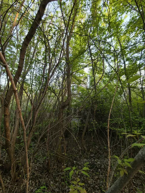 Budynek - photo 4/4