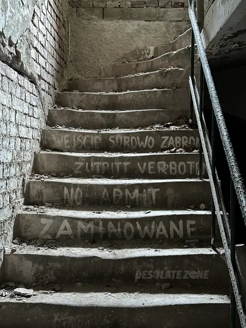Pałac z  XIX-wieku., Dreżewo