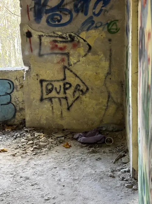Zakład dla Nerwowo i Psychicznie Chorych Żydów - Zofiówka - zdjęcie 14/312