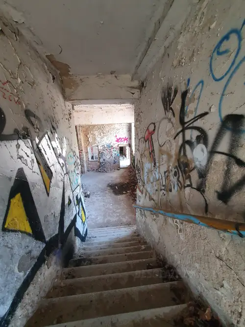 Tor wyścigów konnych, Łódź - photo 12/160