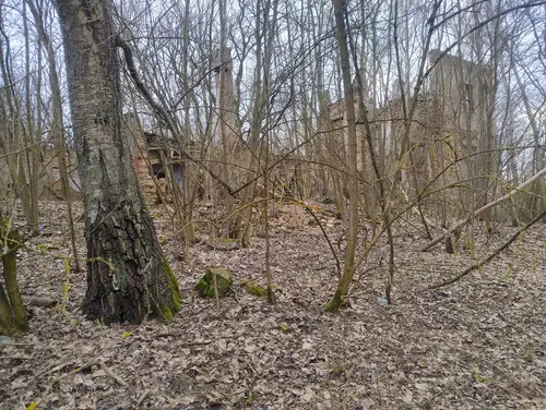 Ruiny Dworu p. Kleczkowskiej w Wiączyniu Dolnym - zdjęcie 3/11