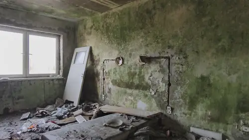 Sala weselna 'Bagatela' - zdjęcie 10/73