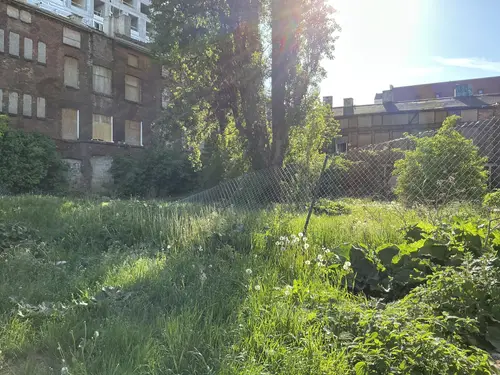 Opuszczone kamienice Wspornikowa - zdjęcie 3/5
