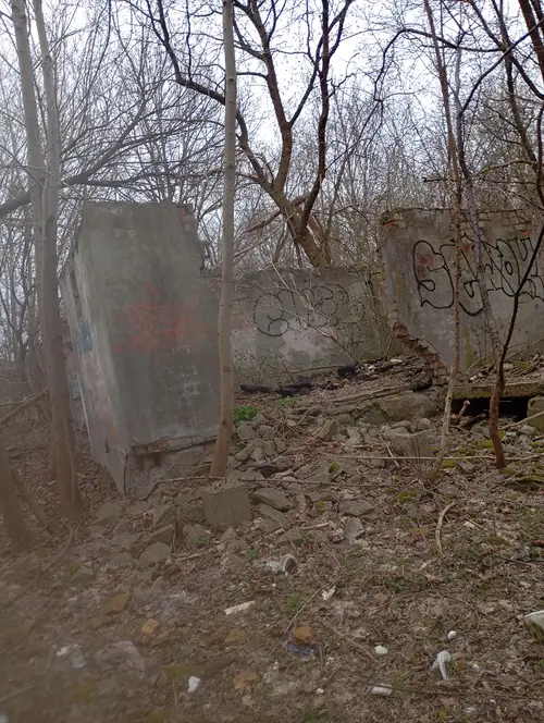 Ruiny kilku domów w lasku - photo 1/6