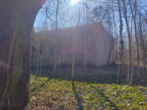 Kolonie w Justynowie, Justynów - zdjęcie 1/55