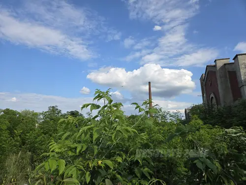 Zakłady Tkanin Wełnianych Mazovia, Tomaszów Mazowiecki